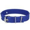 Collar para mascotas