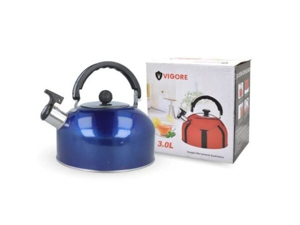 Caldera de acero inoxidable 3L