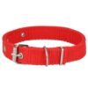 Collar para mascotas