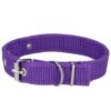 Collar para mascotas