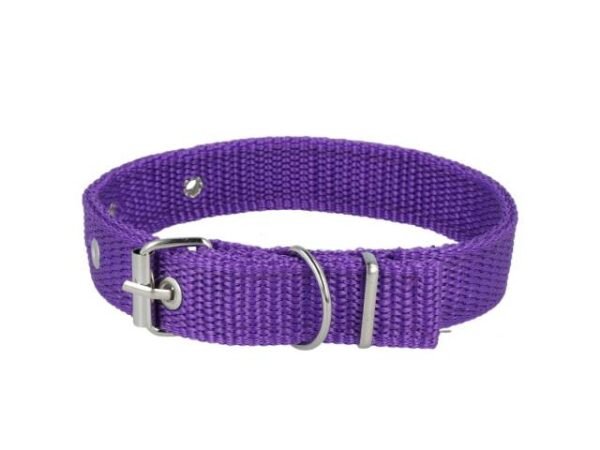 Collar para mascotas